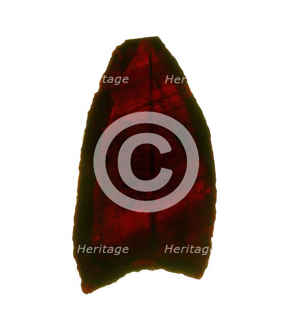 Glass Fragments, European, 13th-14th century. Creator: Unknown.