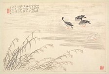 Album of Calligraphy and Paintings, 18th Century. Creator: Bian Shoumin (Chinese, 1684-1752).