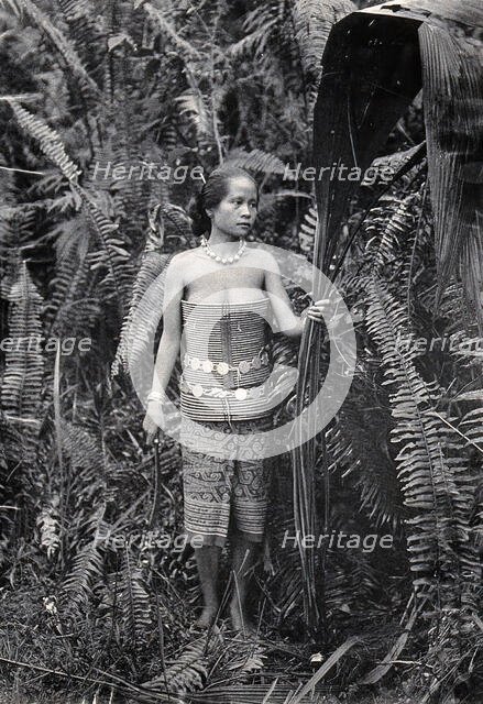 Sarawak: a girl picking leaves for use as fibres, c1900. Creator: Unknown.
