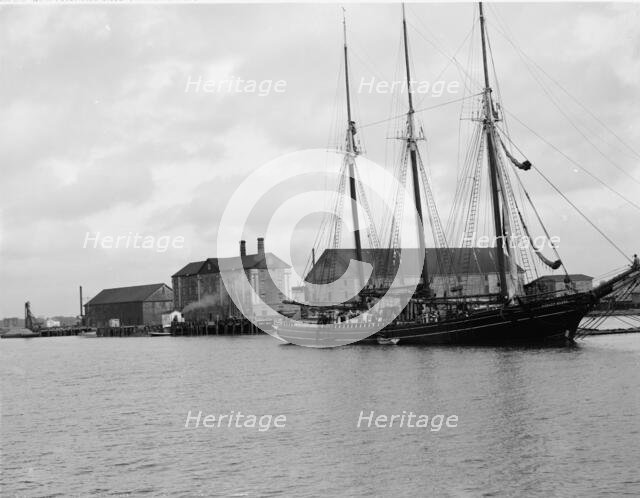 West Point Rice Mills, Charleston, S.C., c1907. Creator: Unknown.
