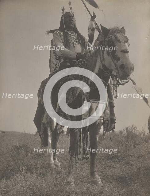 Bird On the Ground, 1908. Creator: Edward Sheriff Curtis.