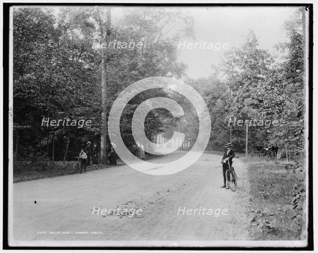 Belle Isle Park, Forest Drive, between 1880 and 1899. Creator: Unknown.