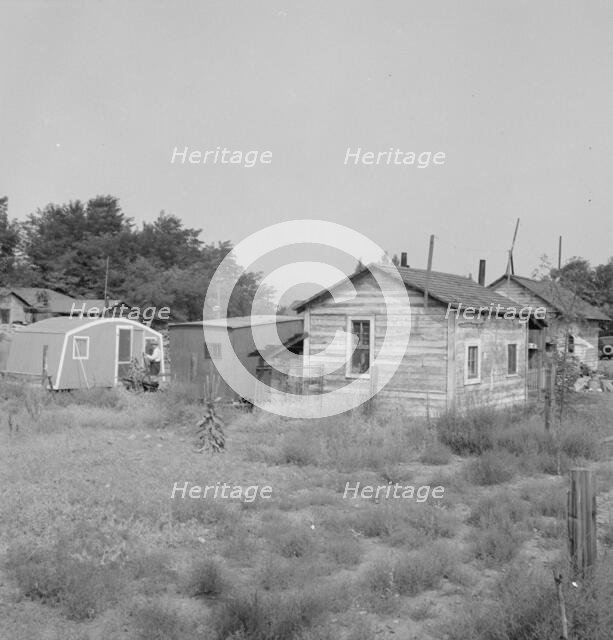 Possibly: Yakima shacktown, (Sumac Park) is one of several large shacktown..., Washington, 1939. Creator: Dorothea Lange.