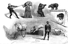 Grand Circus at Covent-Garden Theatre, 1890. Creator: P Naumann.