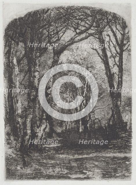 Woods [Bosco], c.1895. Creator: Mose, Bianchi.