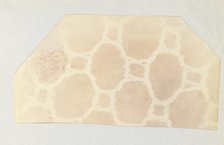 Lace in the Solar Microscope, 400 times magnified in surface, 1839. Creator: William Henry Fox Talbot.
