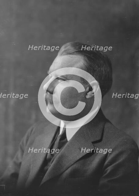 Mr. F. Barthels, portrait photograph, 1919 Mar. 24. Creator: Arnold Genthe.