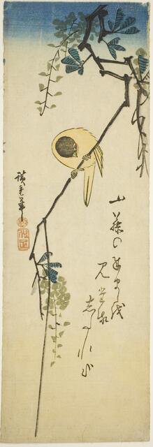 Bird on silky wisteria, 1830s-1840s. Creator: Ando Hiroshige.