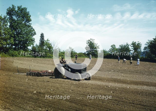 Farm owned by James Pompey, who 20 years ago came from Italy..., Southington, Connecticut, 1942. Creator: Charles Fenno Jacobs.