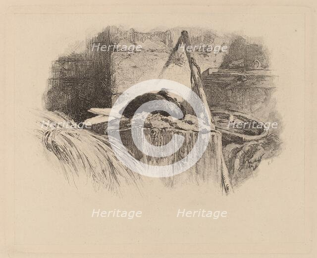 Pigeon sur un nid. Creator: Karl Bodmer.