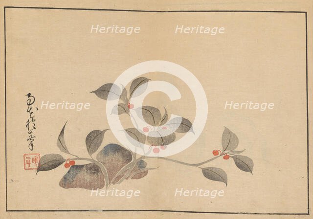 Sakai Hoitsu gajo (Sakai Hoitsu painting album). Creator: Hoitsu, Sakai (1761-1828).