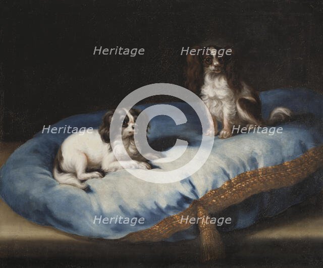 Two smaller dogs, c17th century. Creator: David Klocker Ehrenstrahl.