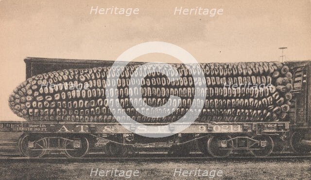 A Car Load of Texas Corn, ca. 1910. Creator: George B. Cornish.