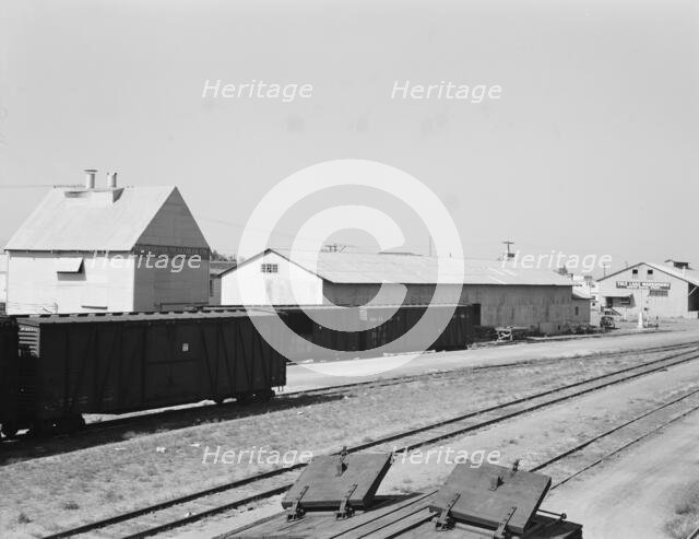 Railroad yard behind potato shed from which..., Tulelake, Siskiyou County, California, 1939. Creator: Dorothea Lange.