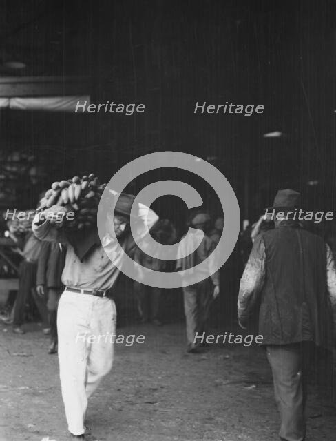 Unloading bananas, New Orleans, between 1920 and 1926. Creator: Arnold Genthe.