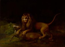 A Lion Attacking a Stag, between 1765 and 1766. Creator: George Stubbs.