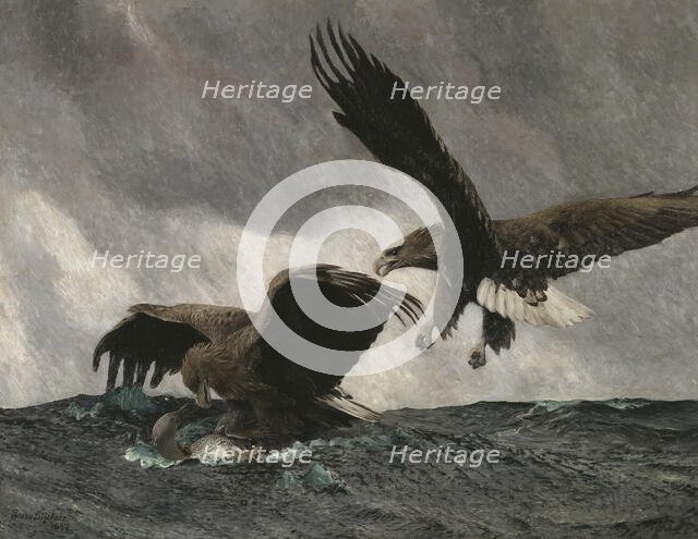 Sea Eagles, 1897. Creator: Bruno Liljefors.