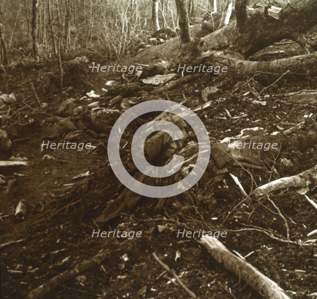 Bodies, Les Éparges, northern France, 1915.  Artist: Unknown.