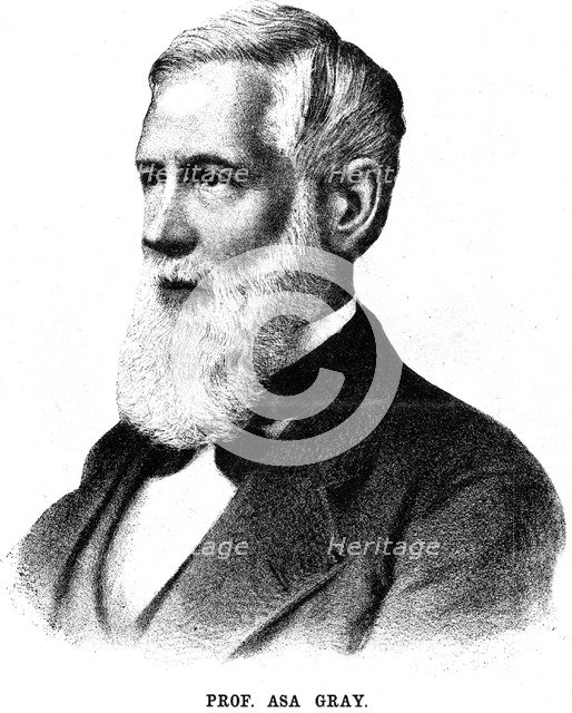 Asa Gray, American botanist, 1888. Artist: Unknown