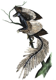 Archaeopteryx - the first bird, 1886. Artist: Unknown