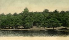 Queensmere, Wimbledon Common, London, 1903. Creator: Unknown.