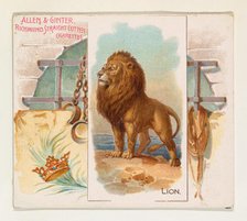 Lion, from Quadrupeds series (N41) for Allen & Ginter Cigarettes, 1890. Creator: Allen & Ginter.