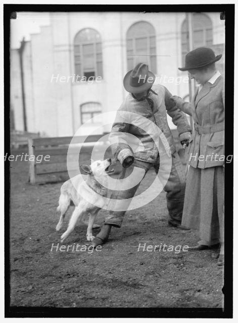 Society Circus, between 1910 and 1917. Creator: Harris & Ewing.