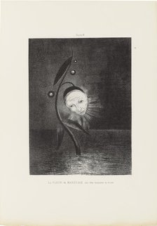 Homage to Goya: The Marsh Flower, 1885. Creator: Redon, Odilon (1840-1916)