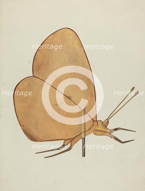 Butterfly Weather Vane, c. 1938. Creator: Hazel Hyde.