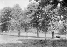 Grass tennis court among trees, c1935. Creator: Kirk & Sons of Cowes.