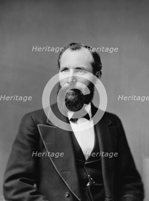 Hon. W.M. Springer of Ill., between 1870 and 1880. Creator: Unknown.