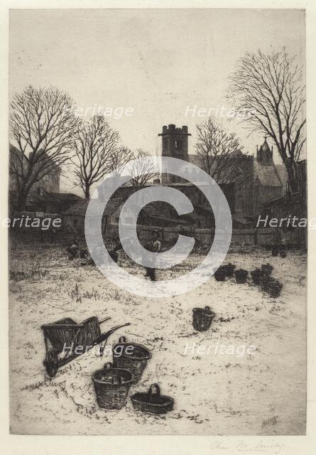 Untitled (Garden Scene), 1893. Creator: Charles Frederick William Mielatz.