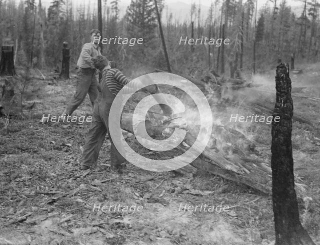 Family work clearing land by burning, near Bonners Ferry, Boundary County, Idaho, 1939. Creator: Dorothea Lange.