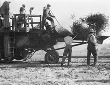 Bean thresher, mechanized agriculture between Turlock and Merced, California, 1936. Creator: Dorothea Lange.