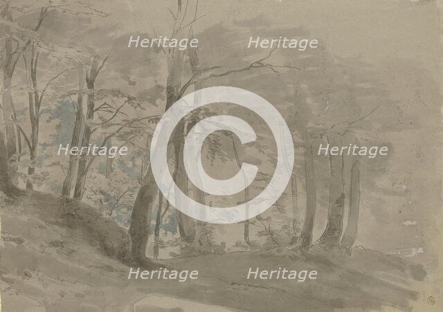 Forest section, c1840-1890. Creator: Carl Theodor Reiffenstein.