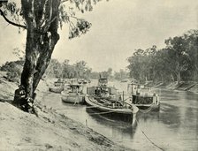 'Murray Barges and Steamboats at Echuca', 1901. Creator: Unknown.