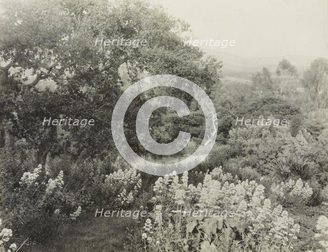 "El Cerrito," Edward Larned Ryerson Jr. house, Hot Springs Road, Santa Barbara, California, 1917. Creator: Frances Benjamin Johnston.