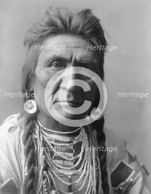 Wolf, c1908. Creator: Edward Sheriff Curtis.