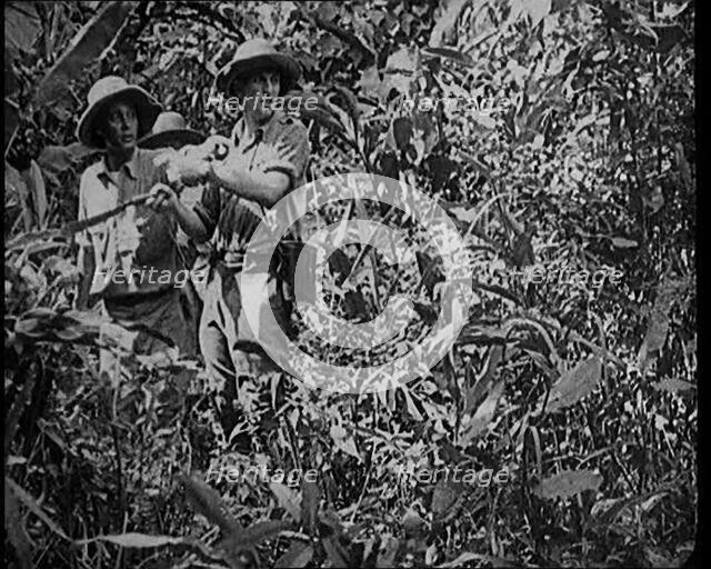 Two Female Civilians Wearing Explorers Outfit Observing Nature in the Jungle, 1920. Creator: British Pathe Ltd.