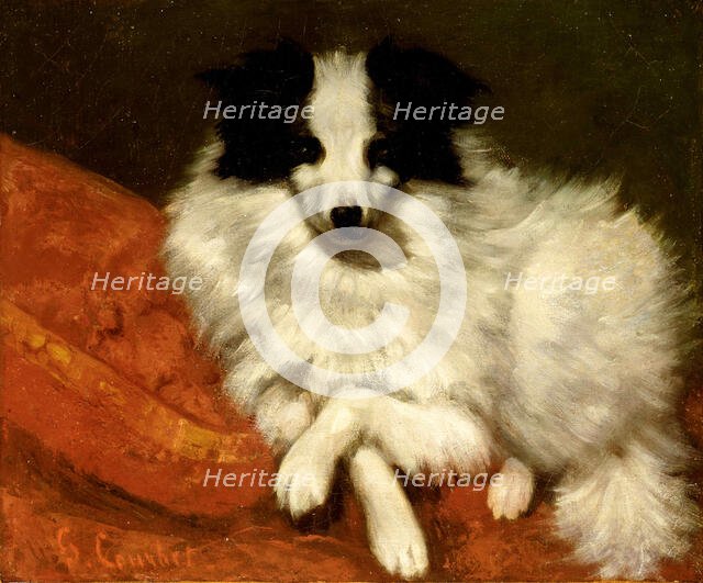 Study of a dog, 1861-1862. Creator: Courbet, Gustave (1819-1877).