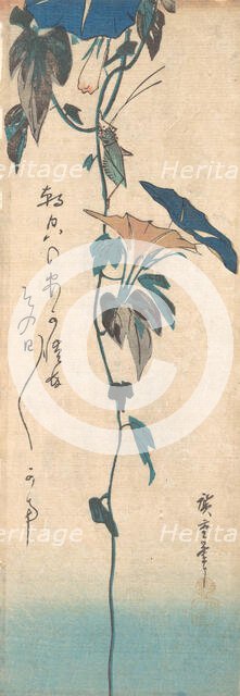 Grasshopper and Morning-glory Vine, ca. 1835., ca. 1835. Creator: Ando Hiroshige.