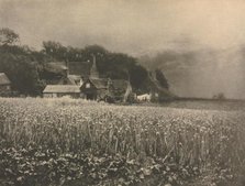 Camera Work: The Onion Field - 1890, 1890. Creator: George Davison.