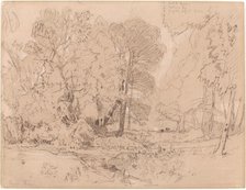 Wooded Landscape, probably 1841. Creator: John Sell Cotman.