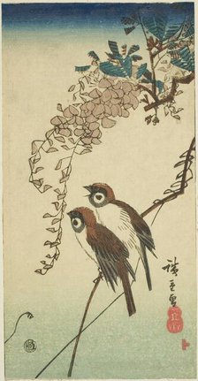 Sparrows and wisteria, n.d. Creator: Ando Hiroshige.