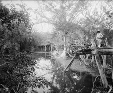 Puente Real near Rascon, between 1880 and 1897. Creator: William H. Jackson.