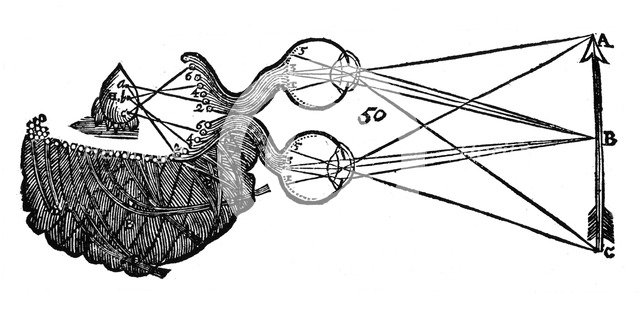 Rene Descartes' idea of vision, showing the function of the eye, optic nerve and brain, 1692. Artist: Unknown