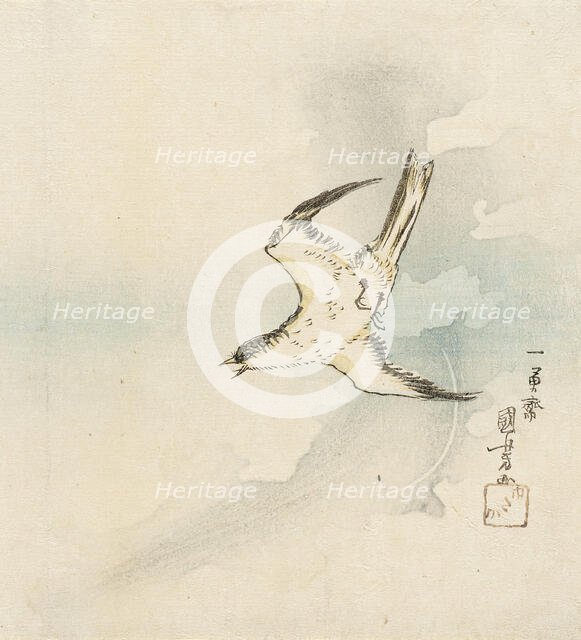 Hototogisu, Mid-19th century. Creator: Utagawa Kuniyoshi.