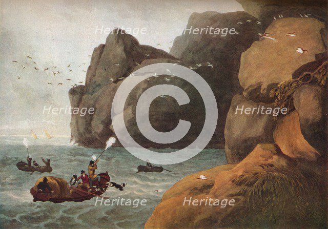 'Puffin Shooting', c1806. Artist: Nichols and Merke.