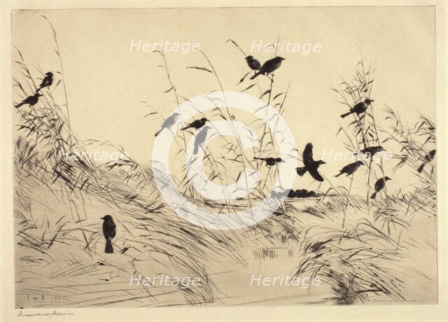 Blackbirds and Rushes, 1920. Creator: Frank Weston Benson.