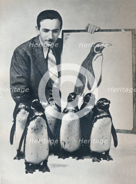 Walt Disney with penguins, 1934 (1935). Artist: Unknown.